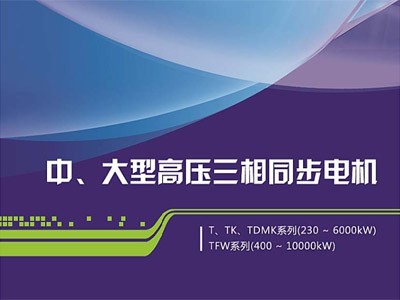 東元中大型同步電機介紹（T、TK、TDMK、TFW）江西東元生產(chǎn)