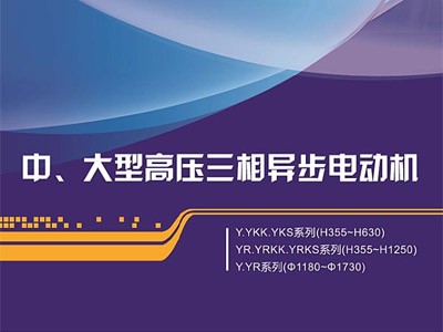 東元中大型高壓電機Y系列樣本（新Y(Y、YKK、YKS、YR、YRKK、YRKS)及老Y）江西東元生產(chǎn)