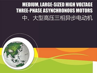 東元中大型高壓電機T-Y系列樣本（ASXK、AEXK）江西東元生產(chǎn)