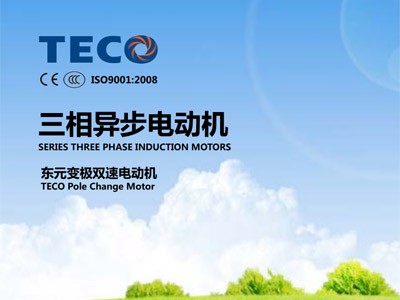 東元雙速電機型錄AEQE AEQC